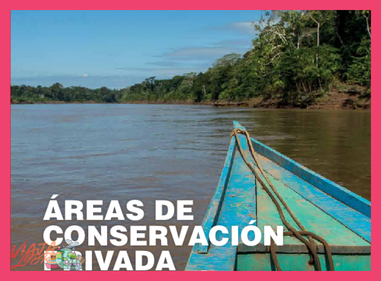 ¿Cuál es el proceso histórico que llevó a la creación de esta área de conservación privada y cuál es el rol de la comunidad campesina de Santa Catalina de Chongoyape en su gestión?