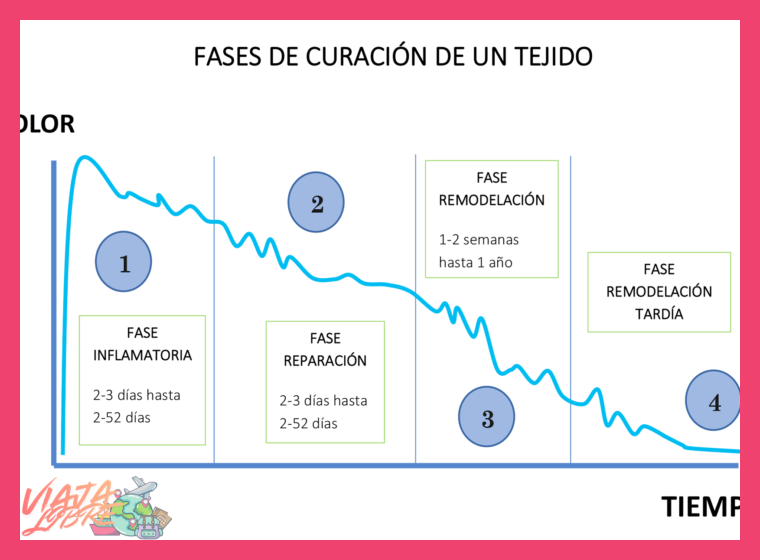¿Cuál es el proceso y el tiempo estimado que el cuerpo necesita para aclimatarse fisiológicamente a la altitud de Cusco?