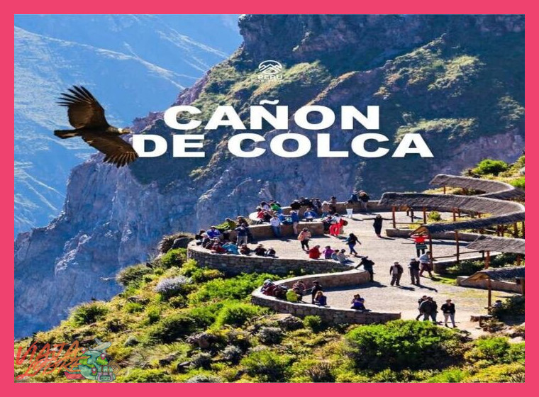 ¿Cuál es el rango de precios y qué incluyen los tours organizados de trekking en el Cañón del Colca desde Arequipa?