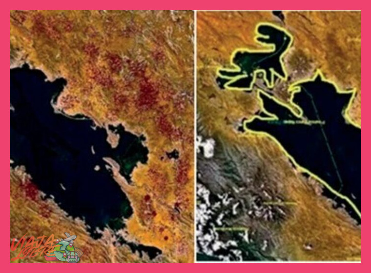 ¿Cuál es el significado etimológico de "Titicaca" en lengua aimara y cómo se refleja este en la cosmovisión de las comunidades que acogen a los visitantes?