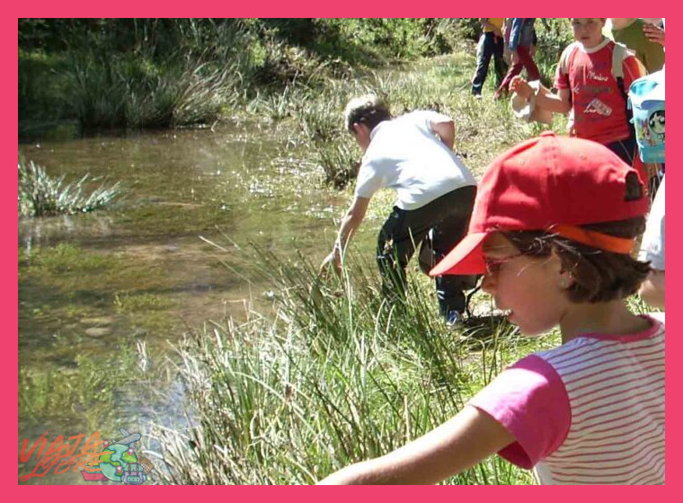 ¿Cuál es la importancia del río en la experiencia y la vida diaria durante la estancia?