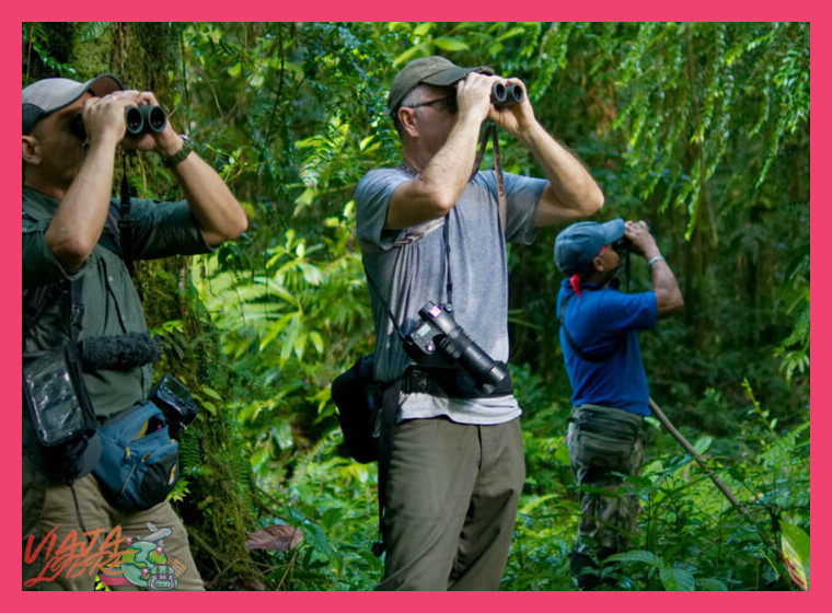 ¿Cuál es la mejor época del año para hacer birdwatching en la Amazonía y los Andes peruanos?