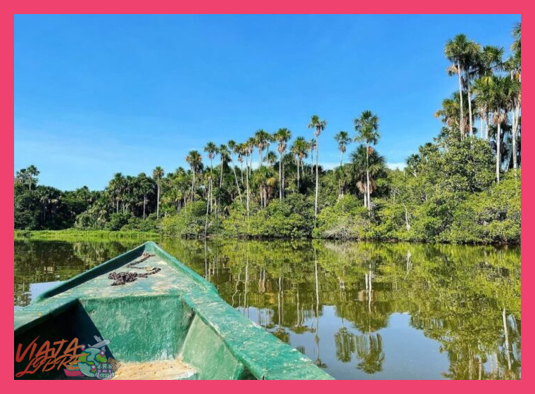 ¿Cuál es la mejor época del año para realizar ecoturismo en la selva peruana, considerando el clima y la observación de fauna?