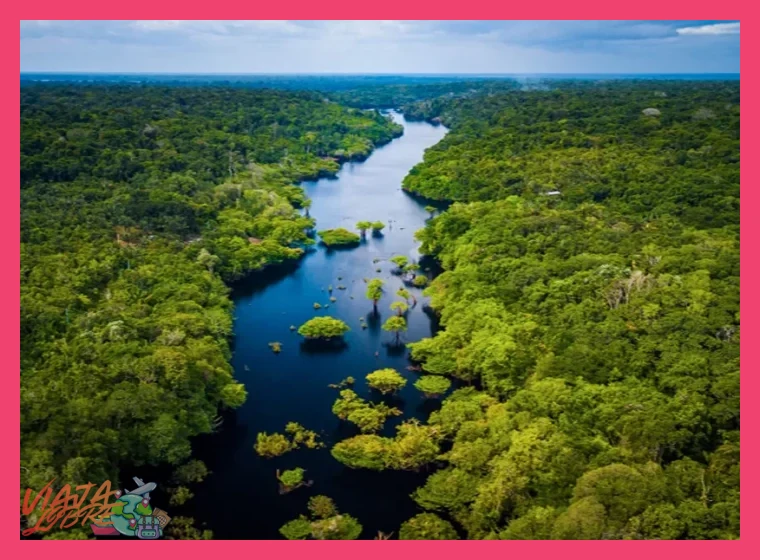 ¿Cuál es la mejor época del año para visitar el Parque Nacional Manu?