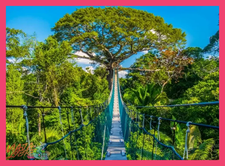 ¿Cuál es la mejor época del año para visitar la Comunidad Ese Eja en Tambopata, considerando el avistamiento de delfines rosados y las actividades en la selva sur?