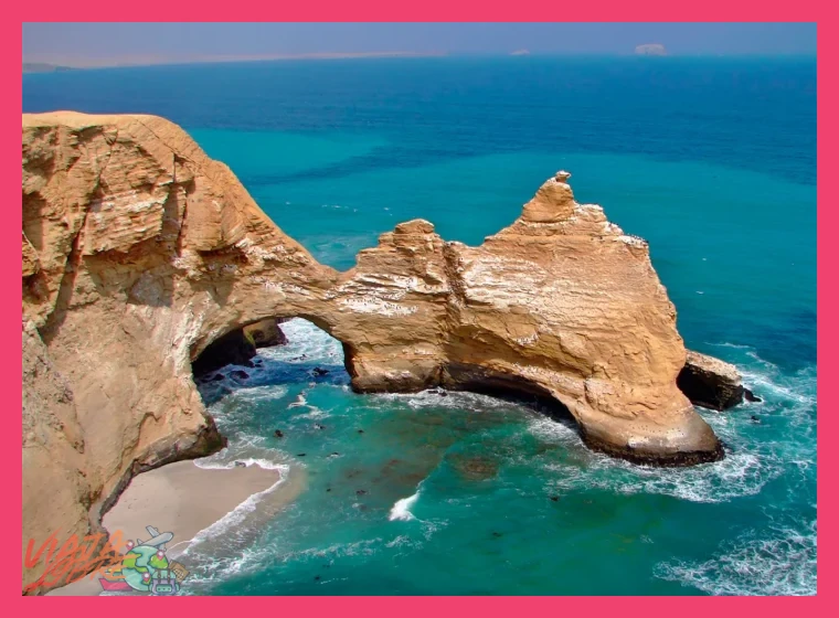 ¿Cuál es la mejor época del año para visitar la Reserva Nacional de Paracas durante un recorrido por la costa sur del Perú?