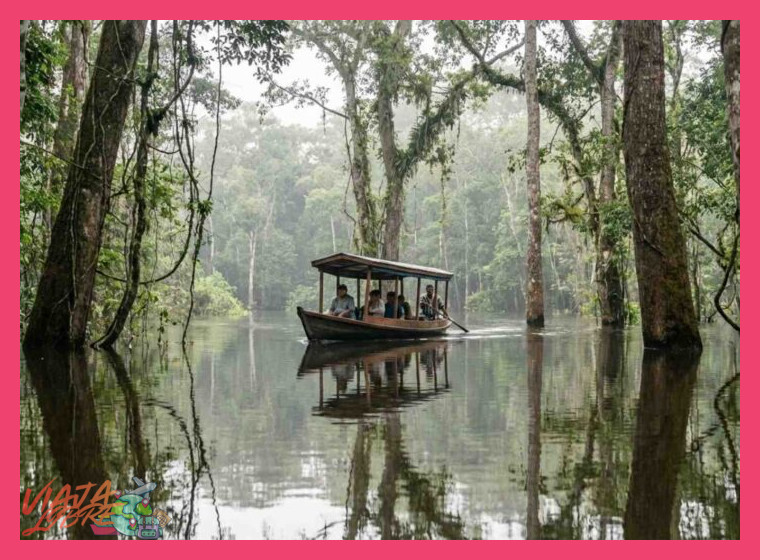 ¿Cuál es la mejor época del año para visitar la selva inundada?