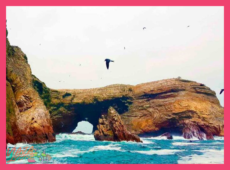 ¿Cuál es la mejor época del año para visitar Paracas y las Islas Ballestas?