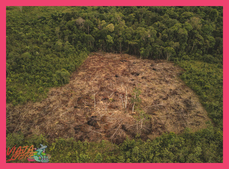 ¿Cuáles son las cinco principales amenazas socioambientales que afectan actualmente a la convivencia y los ecosistemas de las comunidades ribereñas del Amazonas en la región de Yurimaguas?