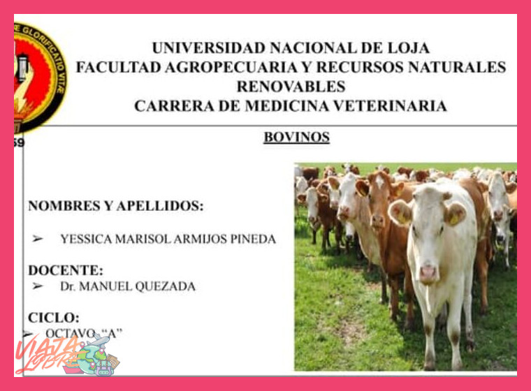 ¿Cuáles son los atributos principales, tanto naturales como de infraestructura, por los que Punta Sal ha ganado reconocimiento?