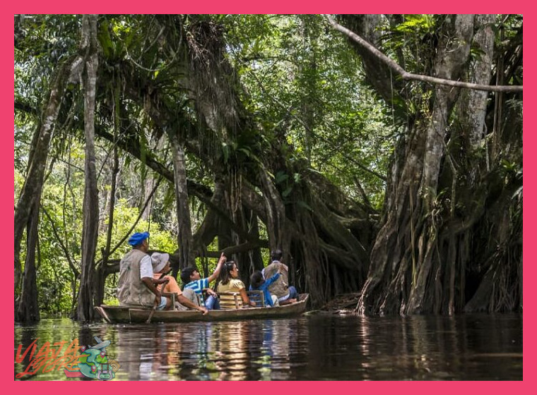 ¿Cuáles son los principales atractivos ecoturísticos en la selva baja del Perú, como reservas nacionales o albergues sostenibles?