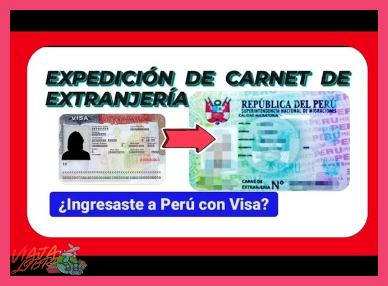 De la Visa al Carné de Extranjería: Regularización Interna
