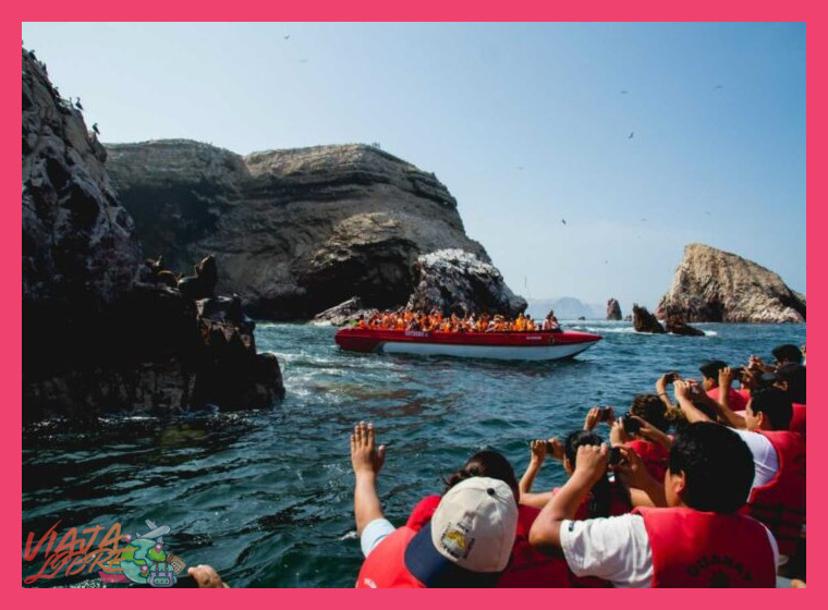 Día 1: Sábado - Aventura Marina en la Reserva Nacional de Paracas