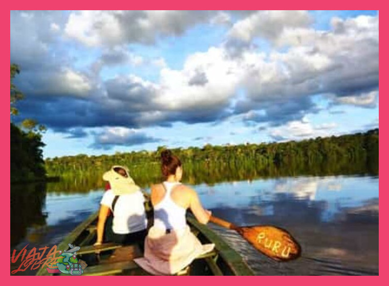 Día 2: Navegación en Kayak y Búsqueda de Fauna en el Lago Sandoval