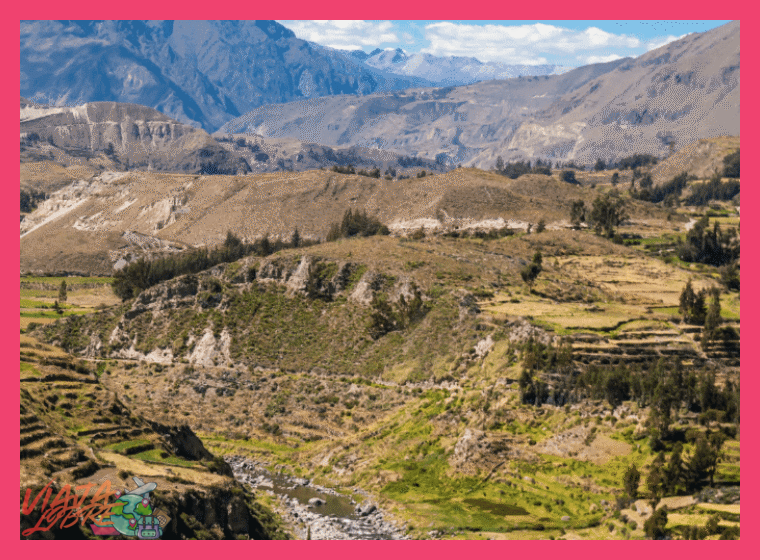 Día 2: Traslado al Cañón del Colca y Primer Contacto con el Valle