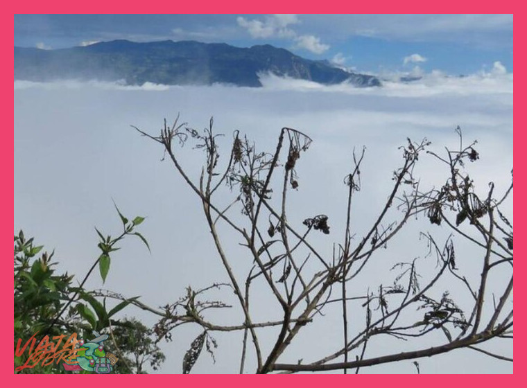 Día 3: Transición y Ascenso hacia los Bosques Nublados