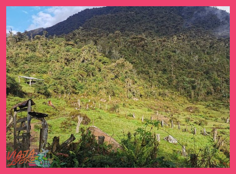 Día 6: La Laguna de los Cóndores (Opción Extrema) o Valle de los Huancas