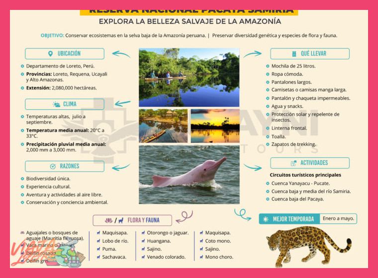 Durante el recorrido de 3 días en la selva inundada de Pacaya Samiria, ¿qué habilidades y comportamientos únicos del delfín rosado (Inia geoffrensis) podrán observarse?