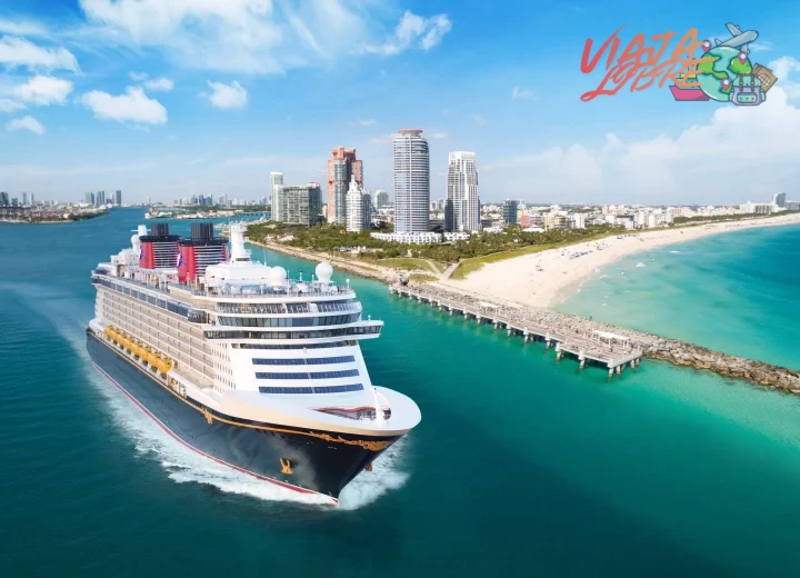 Ejemplos reales de cruceros temáticos y sus rentabilidades