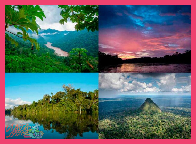 ¿En qué aspectos concretos (número de especies, endemismo, ecosistemas) el Parque Nacional del Manu supera en biodiversidad a los parques nacionales de Estados Unidos?