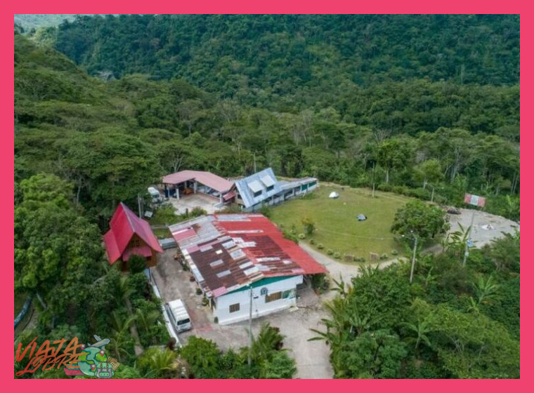 ¿En qué consiste exactamente la experiencia de agro-turismo en los cafetales de Chanchamayo?