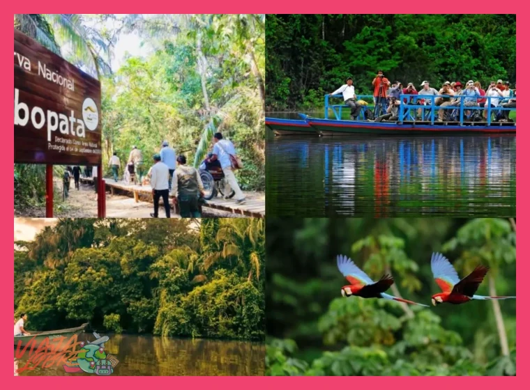 ¿En qué consiste exactamente la experiencia de estancia en comunidad con los Ese Eja en Tambopata?
