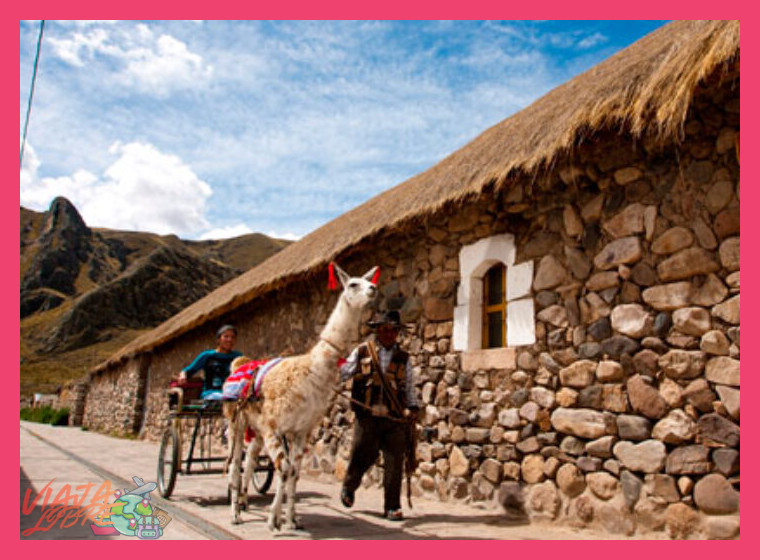¿En qué consiste exactamente la experiencia vivencial de la crianza de vicuñas en Sibayo?