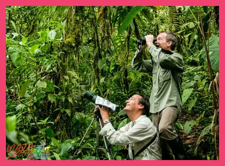 ¿En qué época del año se optimiza la observación de fauna y las actividades de exploración durante un itinerario de 4 días en el Amazonas peruano?