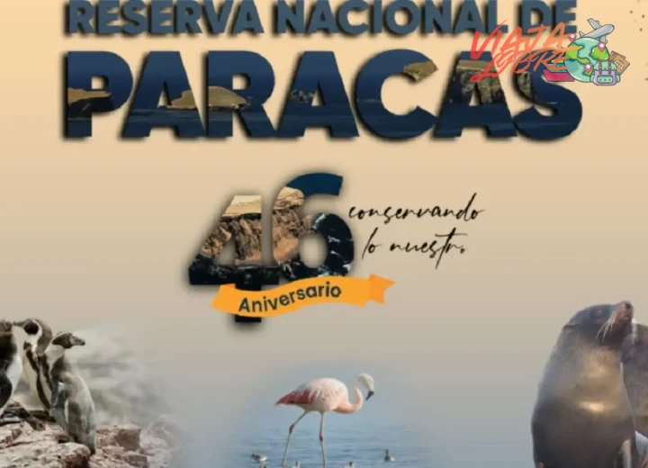 Entradas: tipos de boleto, precios y horarios oficiales