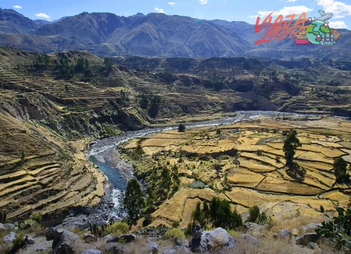 Errores comunes que cometen los viajeros aventureros en el Cañón del Colca