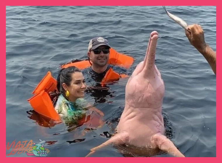 ¿Es posible avistar delfines rosados durante la visita a la comunidad Ese Eja?