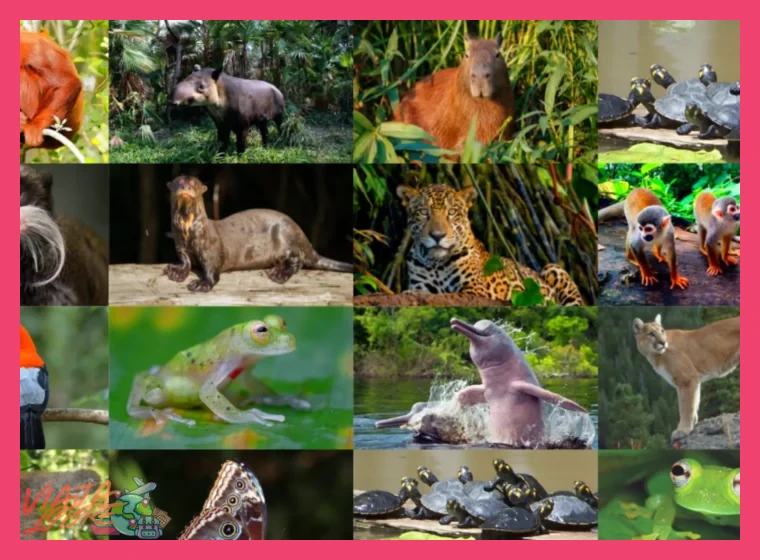 ¿Es seguro y qué fauna podremos observar durante el tour?