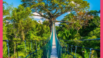 Experiencia selva Puerto Maldonado canopy y kayak 3 días - Experiencia selva Puerto