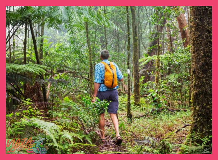 Fauna, Flora y los Secretos del Bosque Primario