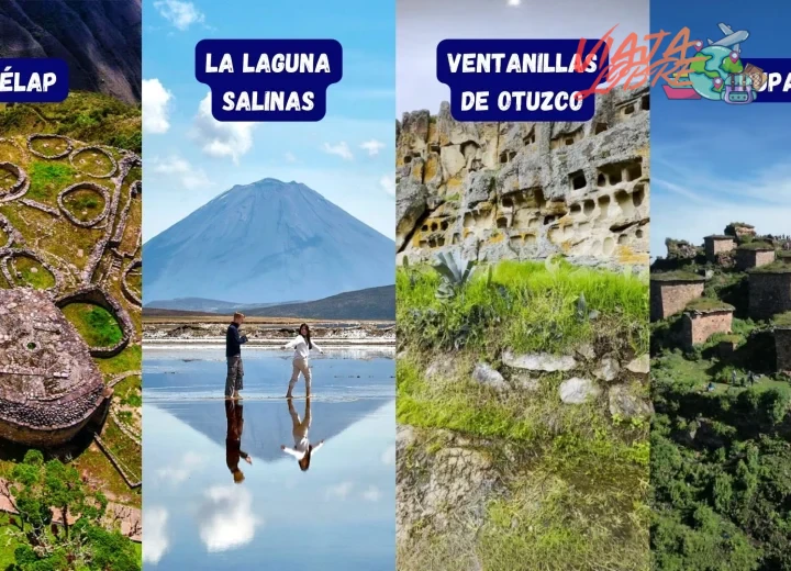 Filtrar publicaciones de los últimos cinco años sobre yacimientos no masificados