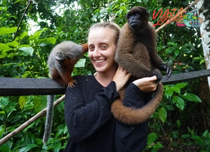 Guía de los mejores paquetes de viaje a la selva peruana