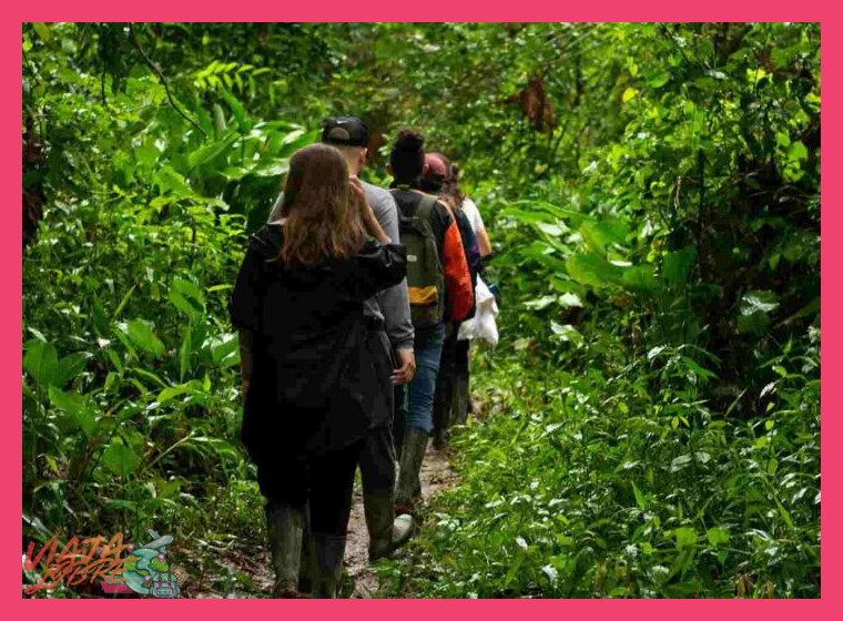 ¿Hay opciones de ecoturismo en la selva que combinen cultura indígena y naturaleza?