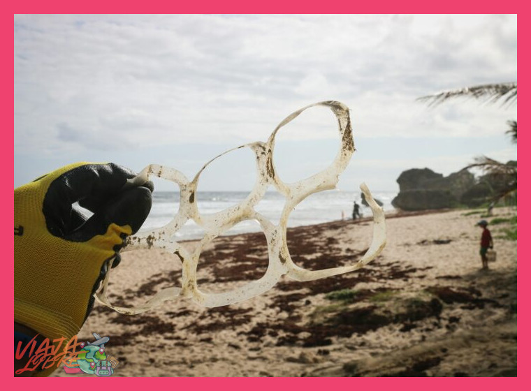 Impacto Socioeconómico y Desafíos Futuros