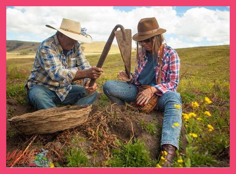 Impacto y sostenibilidad: el valor agregado del agro-turismo