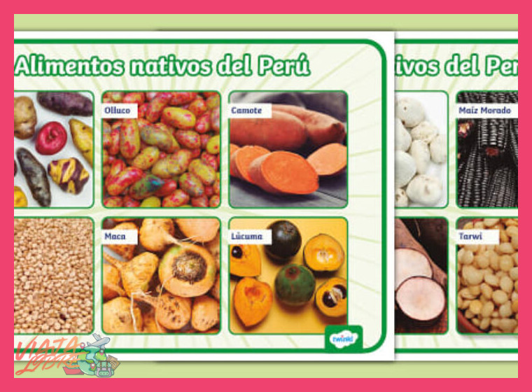 Ingredientes Nativos: La Biodiversidad en la Mesa Andina