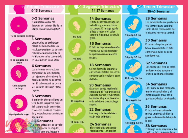 Itinerario Recomendado de 2 Semanas para Primerizos