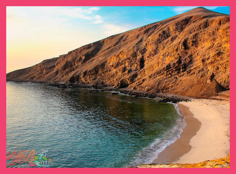La importancia ecológica de la Reserva Nacional de Paracas