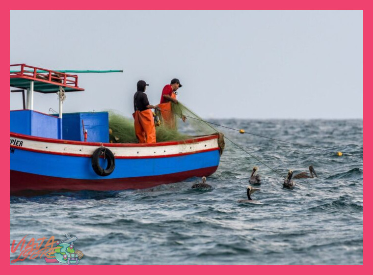 La Pesca Artesanal en el Lago Sagrado: Técnicas Milenarias