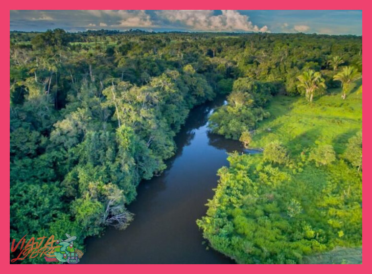 ¿La Reserva Nacional Tambopata forma parte integral de la cuenca amazónica peruana?