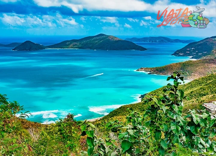 ¿Las 13 mejores islas del Caribe para bucear - Dressel Divers?