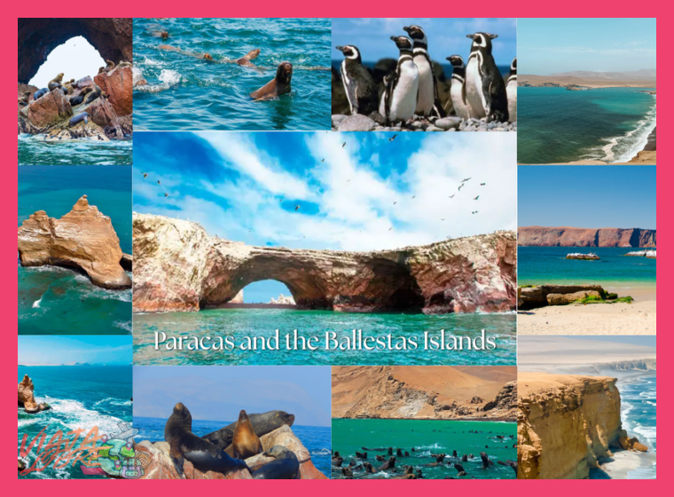 Las Islas Ballestas: El Pequeño Galápagos peruano