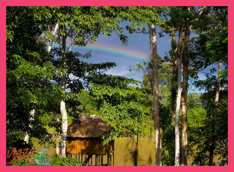 Lodges y alojamientos especializados para observadores de aves en la Reserva Nacional Tambopata.