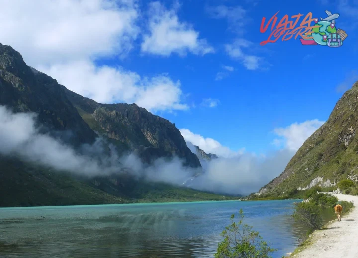 Los 7 imperdibles de la costa de Perú para amantes de la naturaleza