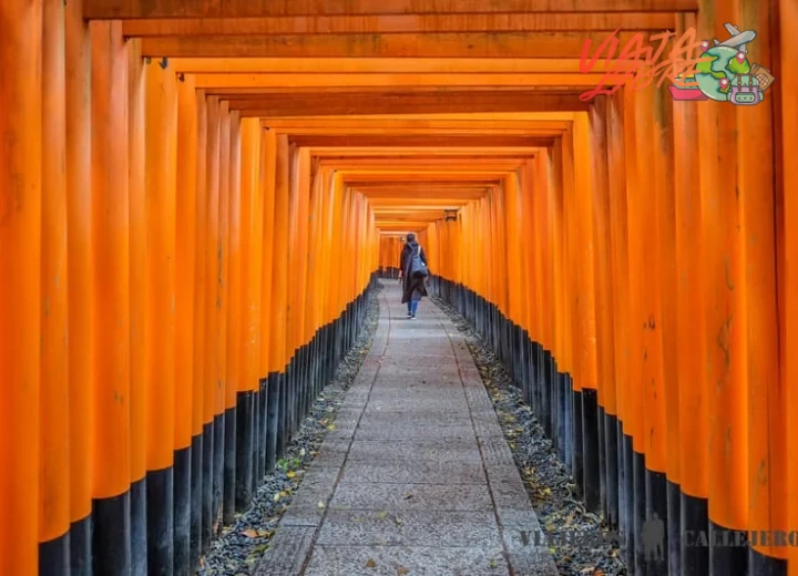 Los clásicos imperdibles de Japón para principiantes: destinos fundamentales