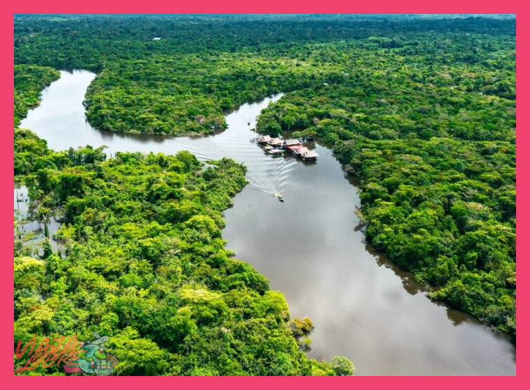 Mejores destinos de la selva peruana para ecoturismo - Mejores destinos de